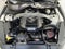 2015 Ford Mustang GT 50 Years Limited Edition